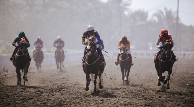 Merdeka Cup 2025 di Pangandaran hadirkan pacuan kuda spektakuler dengan panorama Samudera Hindia. Sport tourism penuh tradisi, energi positif, dan potensi wellness Nusantara. Foto: Dok SARGA.CO